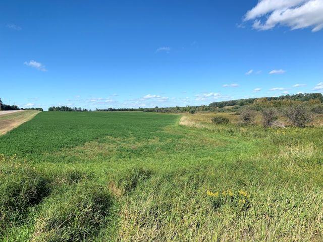 Parcel 6: This property includes 75 +/- acres of farm and hunting land with