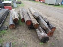 13 Timber  Posts(M)