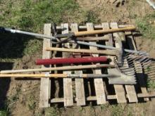 Shop Pallet