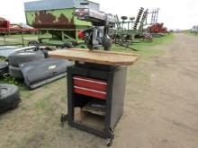 Craftsan Radial Arm Saw
