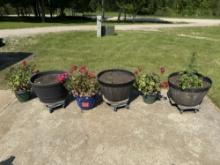 6 Planters all to go