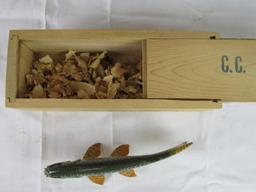 Beautiful Signed "CC" Carved Wood 7" Fish Spearing Decoy in Original Box