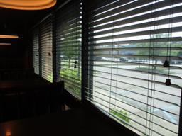 Window Blinds (8)