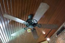 Ceiling Fan