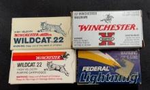181 ROUNDS MIXED LOT .22 AMMO WINCHESTER & FEDERAL