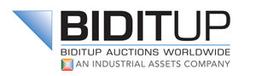 BIDITUP Auctions Worldwide