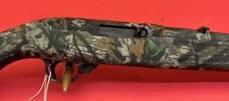 Ruger 10/22 .22LR Rifle