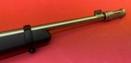 Ruger 10/22 .22LR Rifle