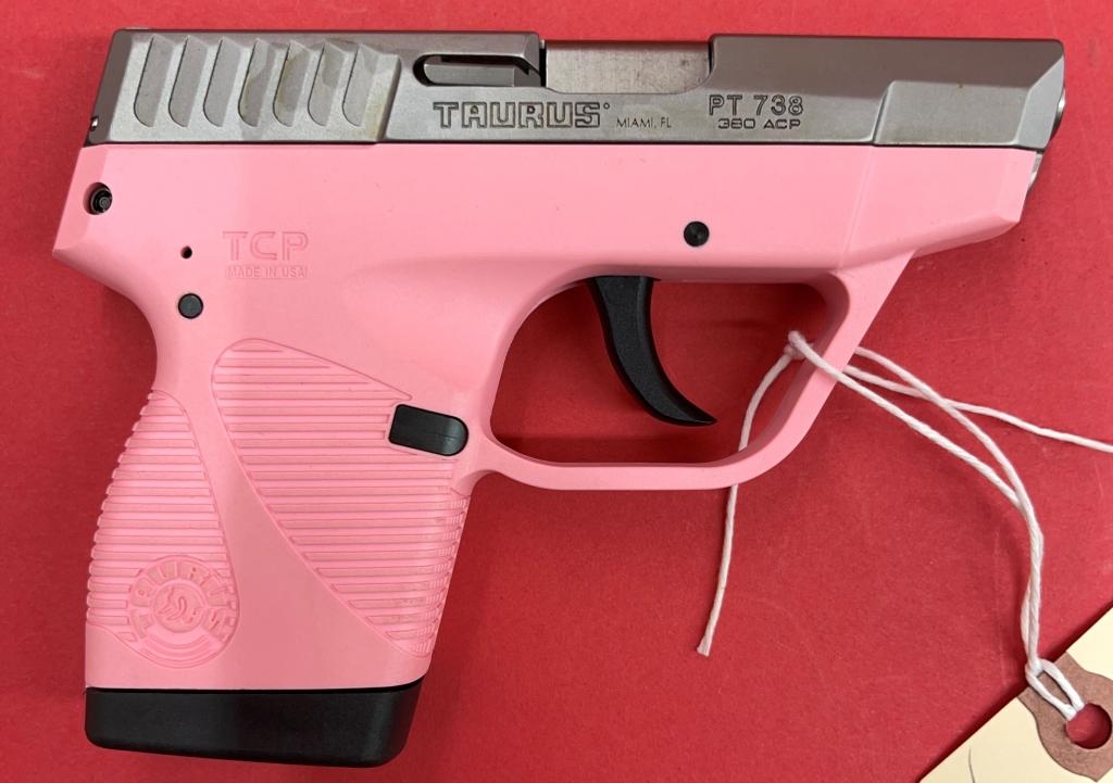 Taurus Pt738 .380 Pistol