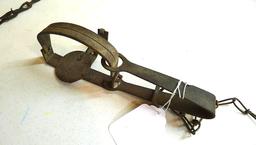 Triumph No. 3 double long spring trap is 17" and appears original and complete. Triumph No. 1-1/2