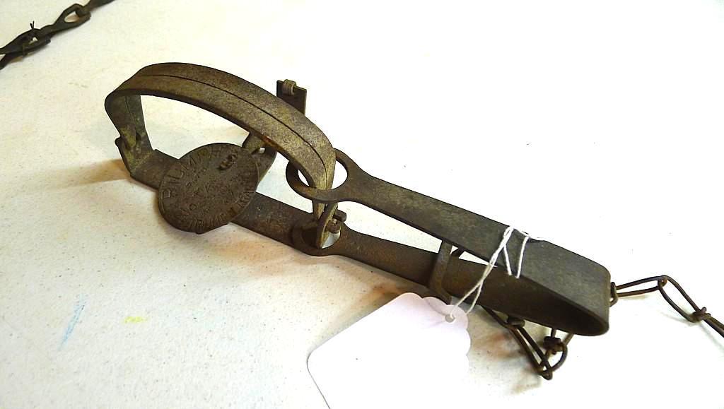 Triumph No. 3 double long spring trap is 17" and appears original and complete. Triumph No. 1-1/2