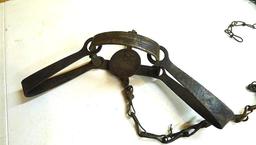 Triumph No. 3 double long spring trap is 17" and appears original and complete. Triumph No. 1-1/2