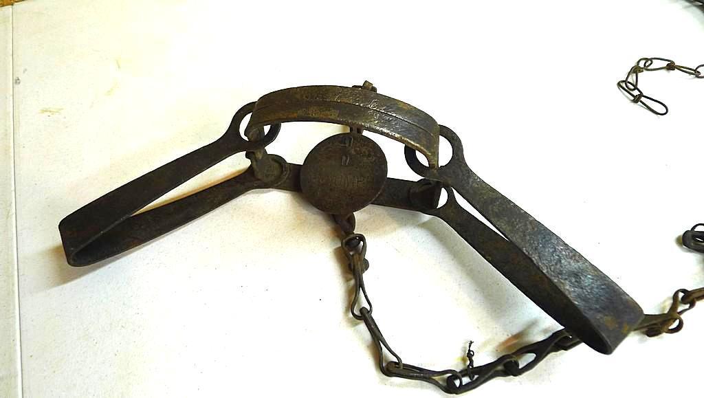 Triumph No. 3 double long spring trap is 17" and appears original and complete. Triumph No. 1-1/2