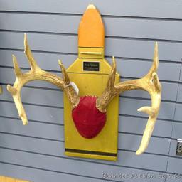 12 point whitetail antlers are mounted on a cartridge shaped plaque. Inside spread is 18", outside