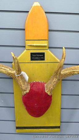 12 point whitetail antlers are mounted on a cartridge shaped plaque. Inside spread is 18", outside