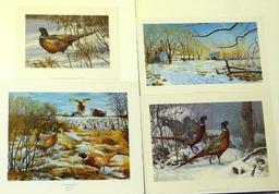 Four signed & numbered pheasant prints including: Winter Ring necks by Scott Zoellick (21? x 29?);