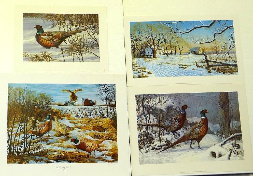 Four signed & numbered pheasant prints including: Winter Ring necks by Scott Zoellick (21? x 29?);