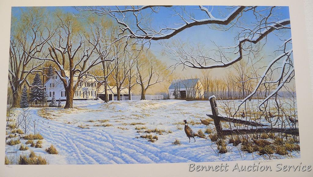 Four signed & numbered pheasant prints including: Winter Ring necks by Scott Zoellick (21? x 29?);