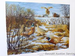 Four signed & numbered pheasant prints including: Winter Ring necks by Scott Zoellick (21? x 29?);