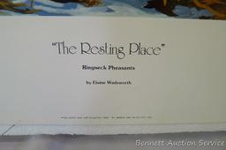 Four signed & numbered pheasant prints including: Winter Ring necks by Scott Zoellick (21? x 29?);