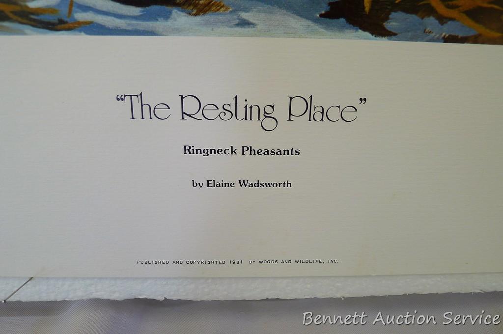 Four signed & numbered pheasant prints including: Winter Ring necks by Scott Zoellick (21? x 29?);