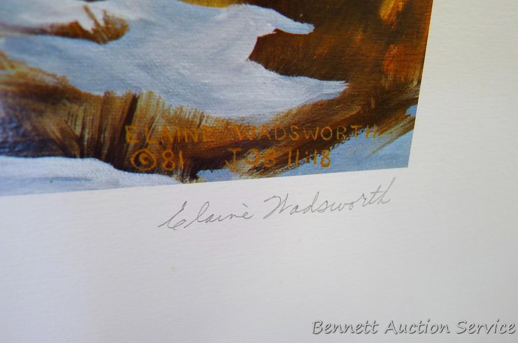 Four signed & numbered pheasant prints including: Winter Ring necks by Scott Zoellick (21? x 29?);