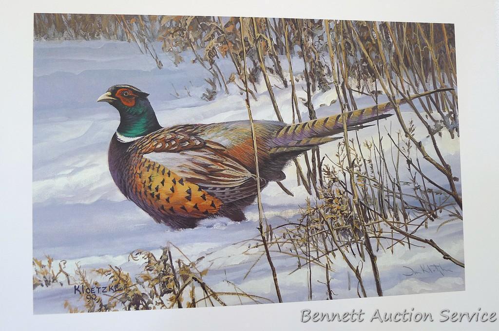 Four signed & numbered pheasant prints including: Winter Ring necks by Scott Zoellick (21? x 29?);