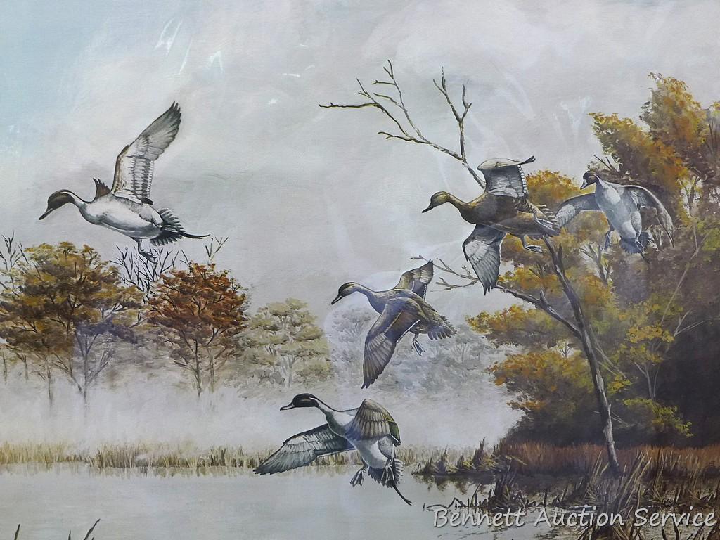 Four duck prints by Sam Timm, John Peterson, Charles Pearson, and Jerry A. Newman. Sam Timm 'Spring