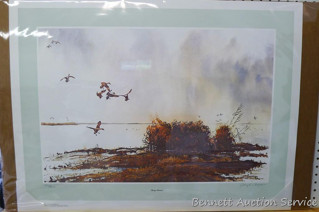 Four duck prints by Sam Timm, John Peterson, Charles Pearson, and Jerry A. Newman. Sam Timm 'Spring