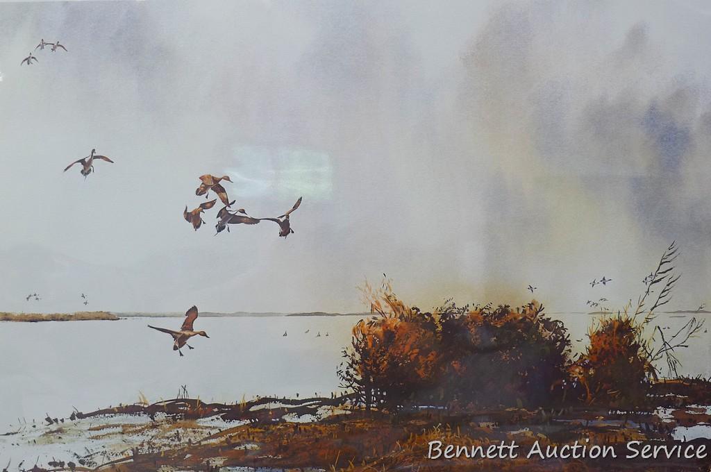 Four duck prints by Sam Timm, John Peterson, Charles Pearson, and Jerry A. Newman. Sam Timm 'Spring