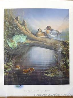 Four duck prints by Sam Timm, John Peterson, Charles Pearson, and Jerry A. Newman. Sam Timm 'Spring