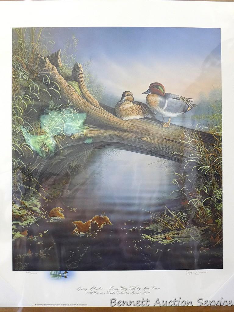 Four duck prints by Sam Timm, John Peterson, Charles Pearson, and Jerry A. Newman. Sam Timm 'Spring