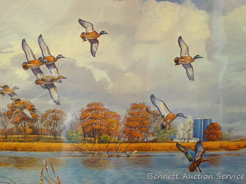 Four duck prints by Sam Timm, John Peterson, Charles Pearson, and Jerry A. Newman. Sam Timm 'Spring