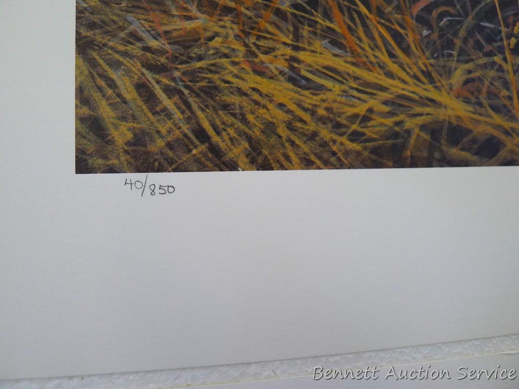 Four signed & numbered fox prints including: Tell Me, Jack Frost by Nancy Glazier (23? x 27?);