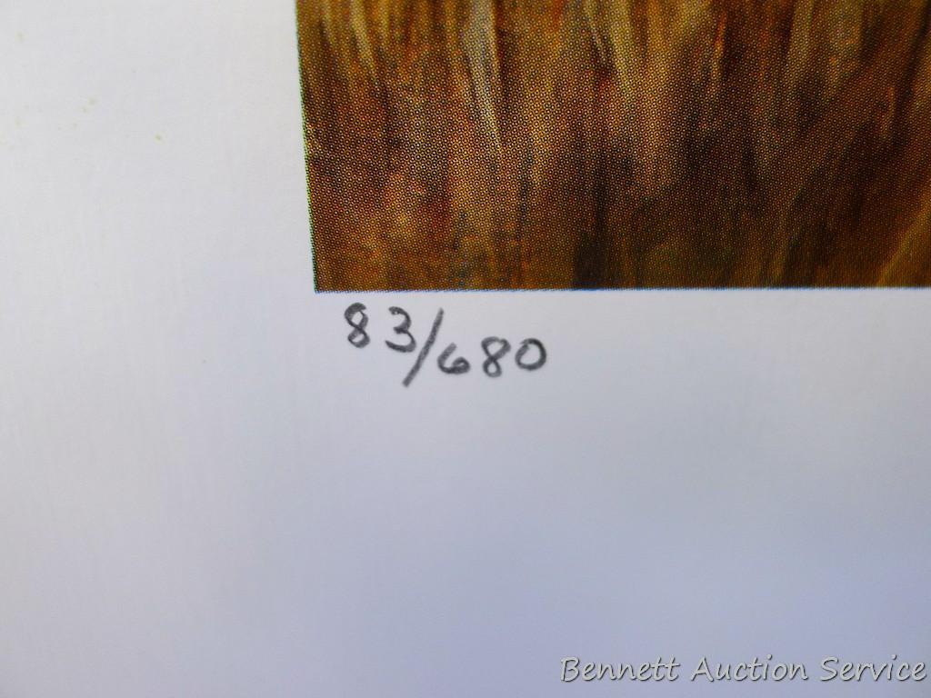 Two signed & numbered Labrador prints, plus two others. Harry Tolles 'Memorable Retrieve', 25-1/2" x