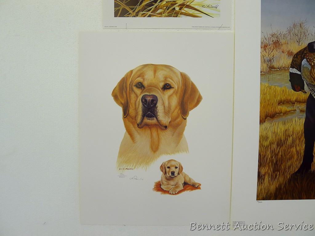 Two signed & numbered Labrador prints, plus two others. Harry Tolles 'Memorable Retrieve', 25-1/2" x