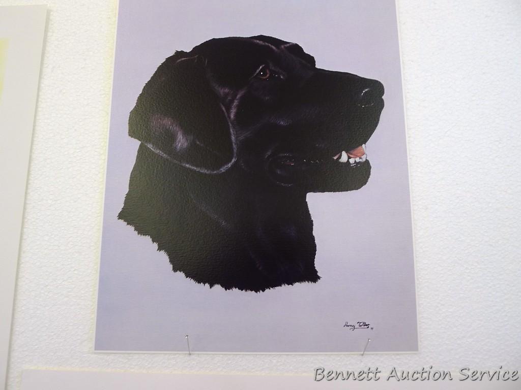 Two signed & numbered Labrador prints, plus two others. Harry Tolles 'Memorable Retrieve', 25-1/2" x
