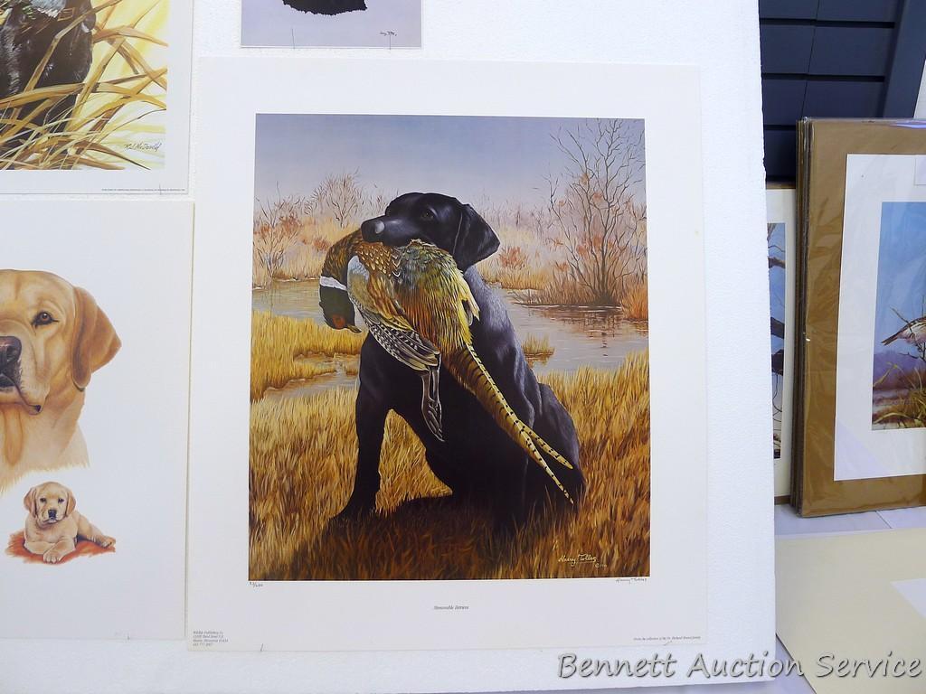 Two signed & numbered Labrador prints, plus two others. Harry Tolles 'Memorable Retrieve', 25-1/2" x