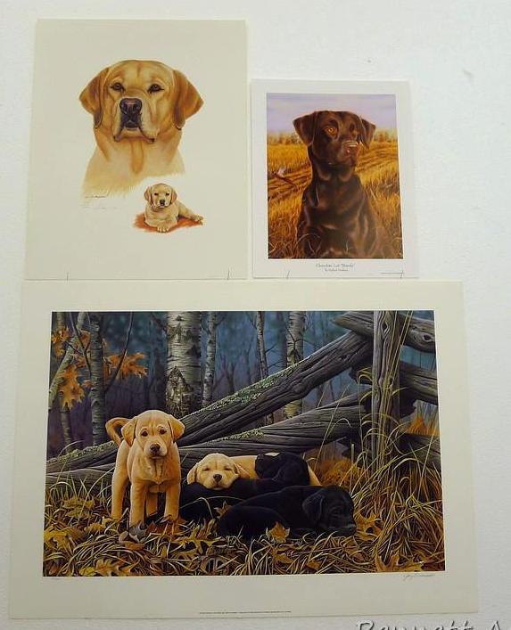 Two signed & numbered Labrador prints, plus 'Chocolate Lab -Brandy' by Michael Steddum. Jerry