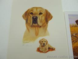 Two signed & numbered Labrador prints, plus 'Chocolate Lab -Brandy' by Michael Steddum. Jerry