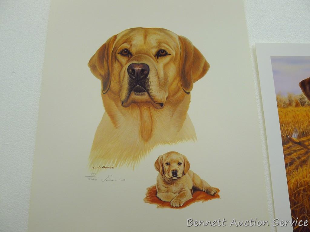 Two signed & numbered Labrador prints, plus 'Chocolate Lab -Brandy' by Michael Steddum. Jerry