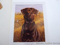 Two signed & numbered Labrador prints, plus 'Chocolate Lab -Brandy' by Michael Steddum. Jerry