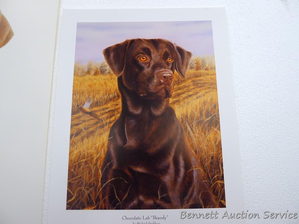 Two signed & numbered Labrador prints, plus 'Chocolate Lab -Brandy' by Michael Steddum. Jerry
