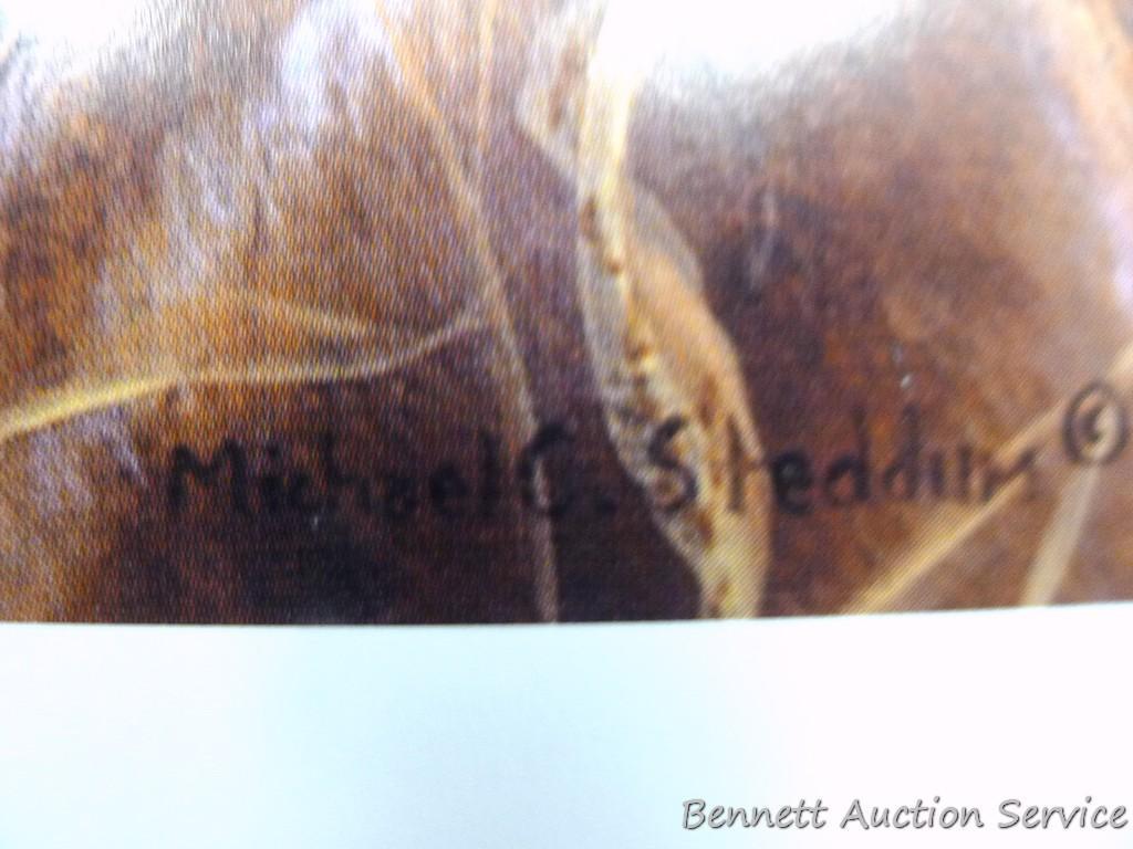 Two signed & numbered Labrador prints, plus 'Chocolate Lab -Brandy' by Michael Steddum. Jerry