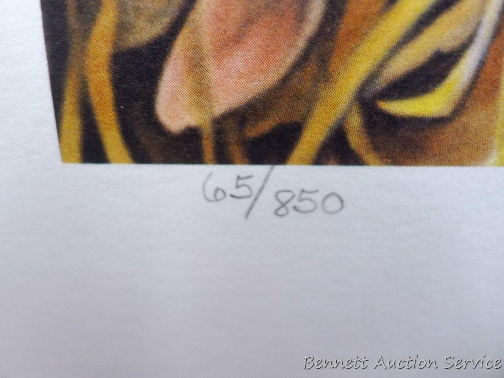 Two signed & numbered Labrador prints, plus 'Chocolate Lab -Brandy' by Michael Steddum. Jerry
