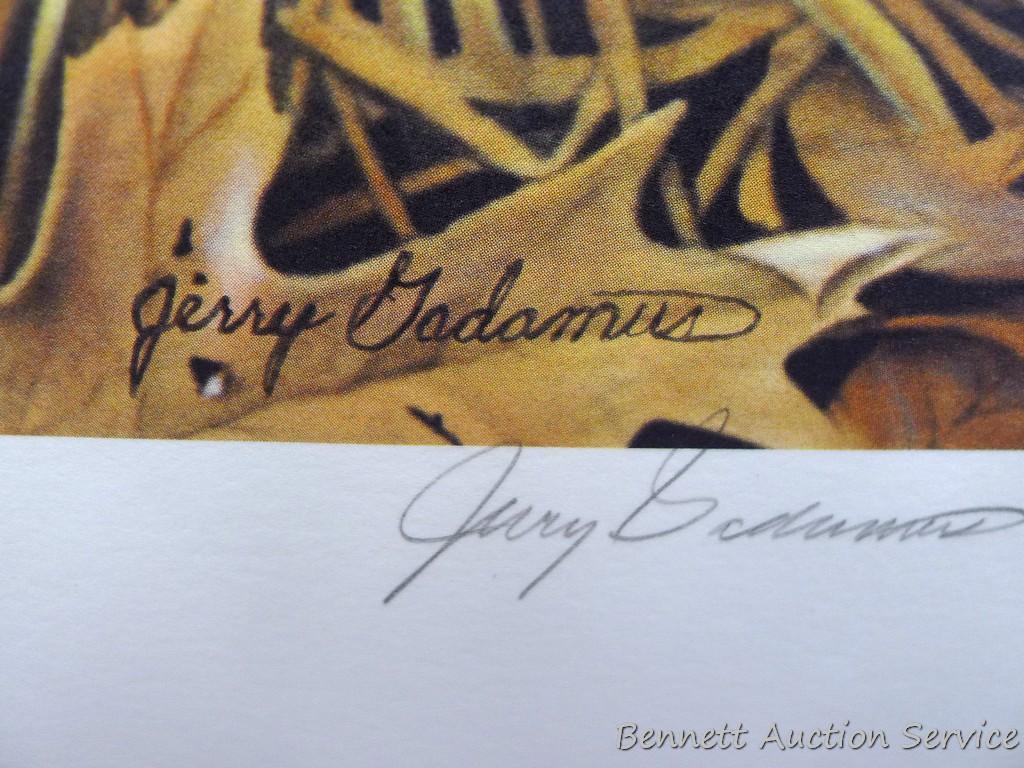 Two signed & numbered Labrador prints, plus 'Chocolate Lab -Brandy' by Michael Steddum. Jerry