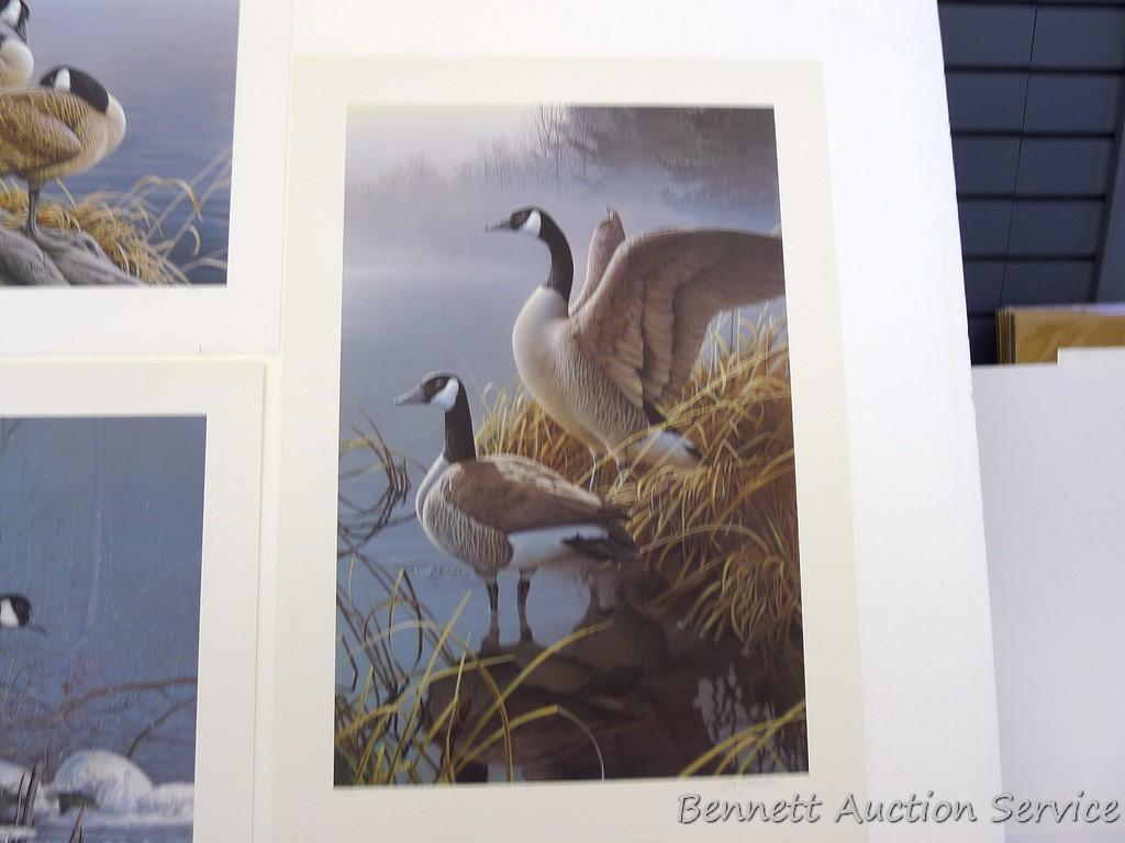Three signed & numbered Canada goose prints by Jerry Gadamus and Scott Zoellick. Gadamus prints