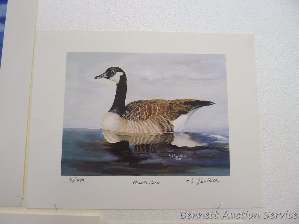 Signed & numbered print by Zoellick 'Canadian Mist', 22" x 28"; plus other Canada goose prints as