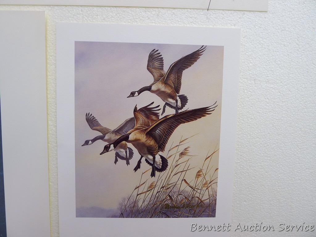 Signed & numbered print by Zoellick 'Canadian Mist', 22" x 28"; plus other Canada goose prints as