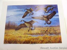 Signed & numbered print by Zoellick 'Canadian Mist', 22" x 28"; plus other Canada goose prints as